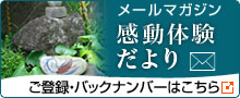 メールマガジン感動体験だより